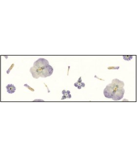 Spezialpapier "BOTANICA  Viola"