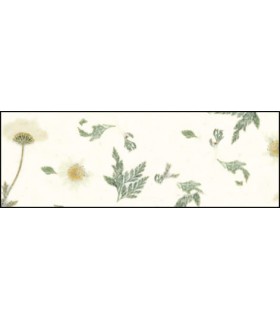 Spezialpapier "BOTANICA  Daisy"