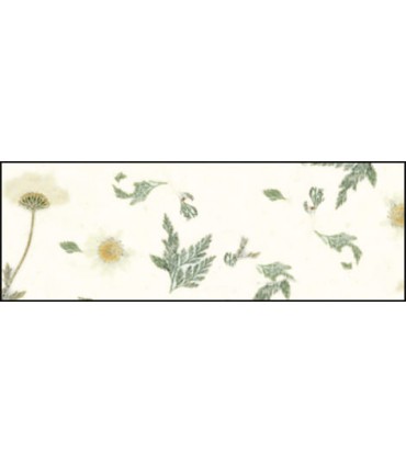 Special Paper "BOTANICA  Daisy"