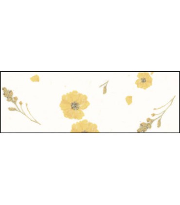 Special Paper "BOTANICA  Mary"