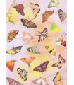 Transparentpapier "SCHMETTERLINGE rosa"