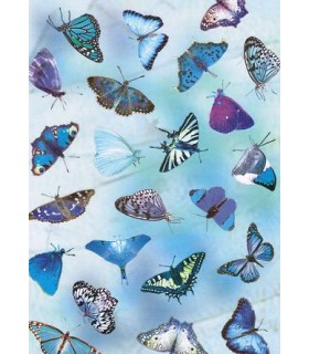 Transparentpapier "SCHMETTERLINGE blau"