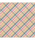 Designer-Paper  "SUMMER LOVIN PLAID"  by ECHO PARK